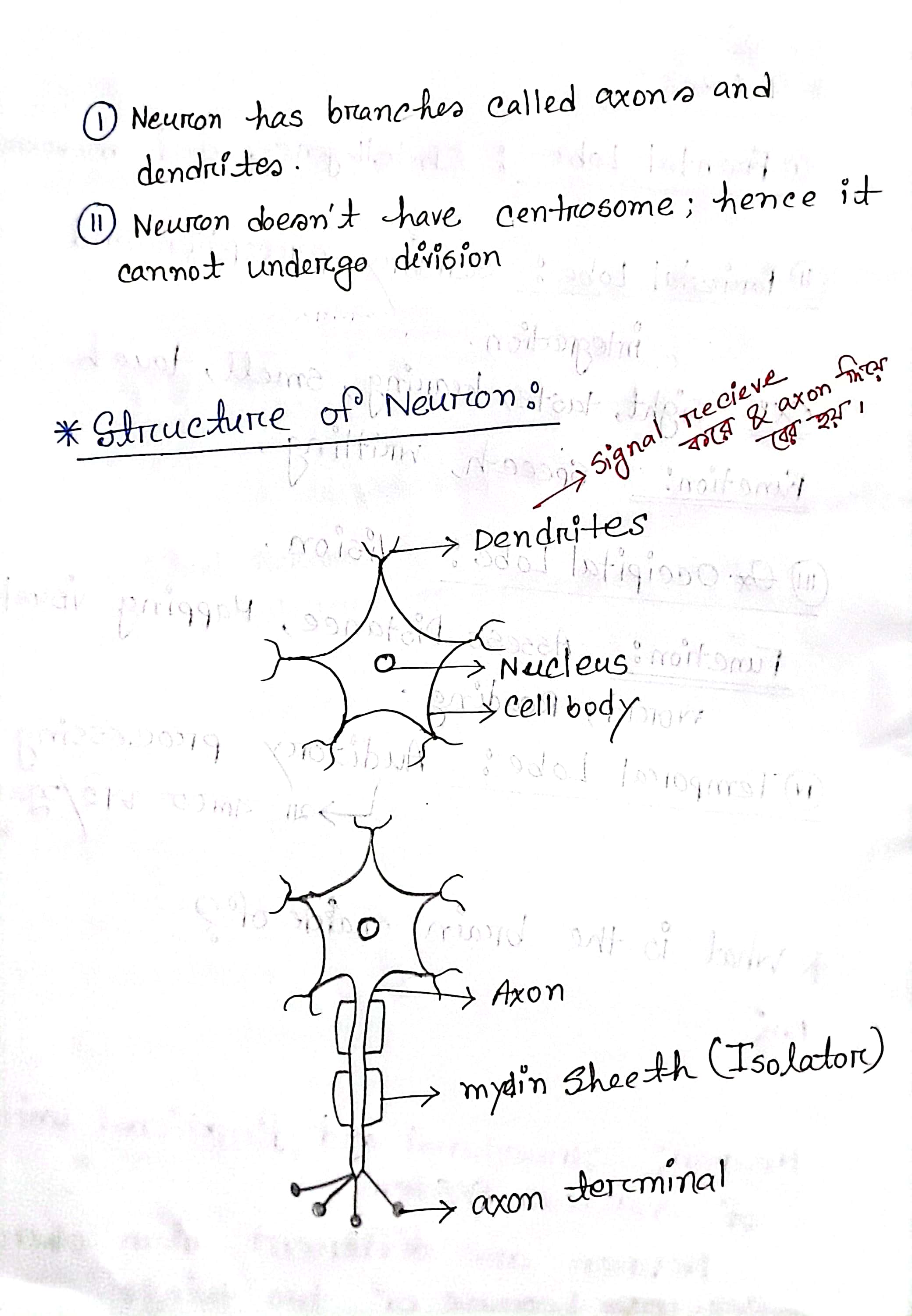 Hand Notes Page 12