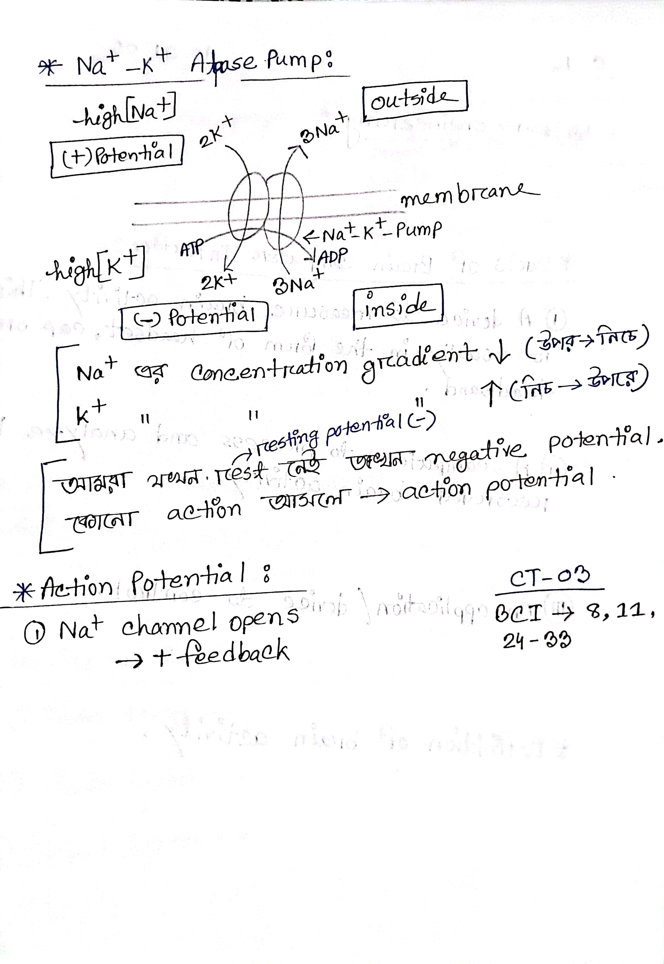 Hand Notes Page 15