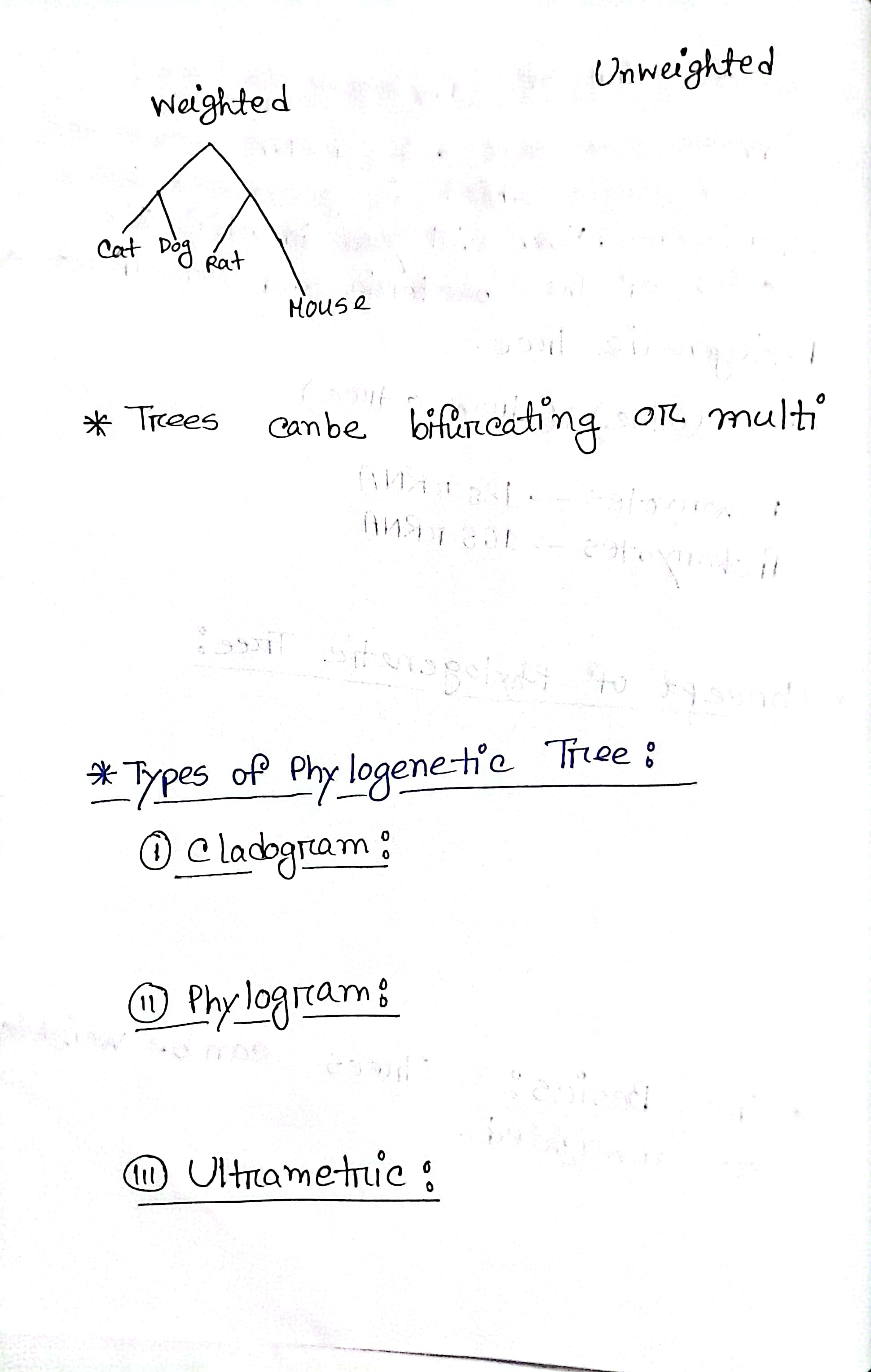 Hand Notes Page 26