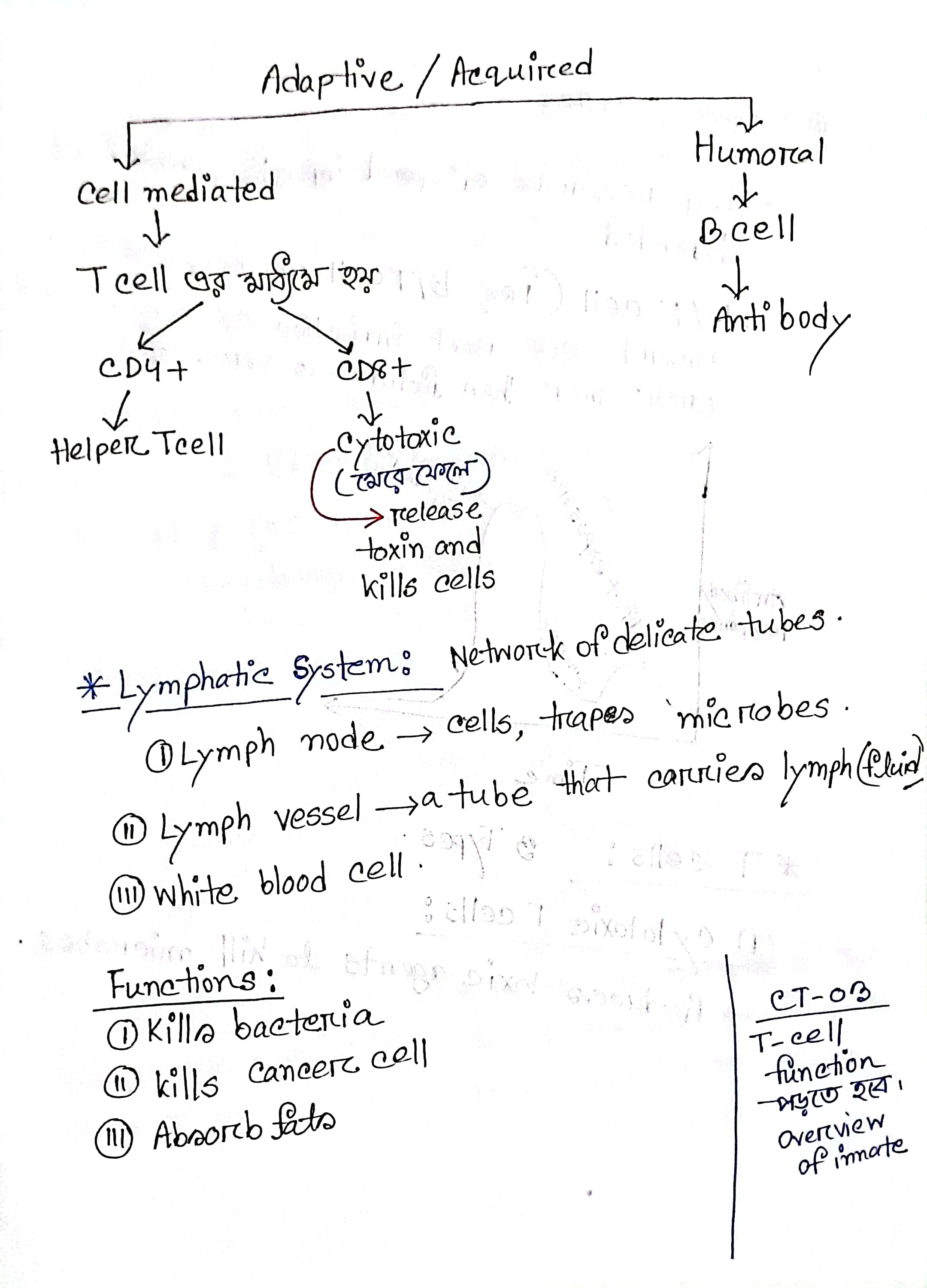 Hand Notes Page 3