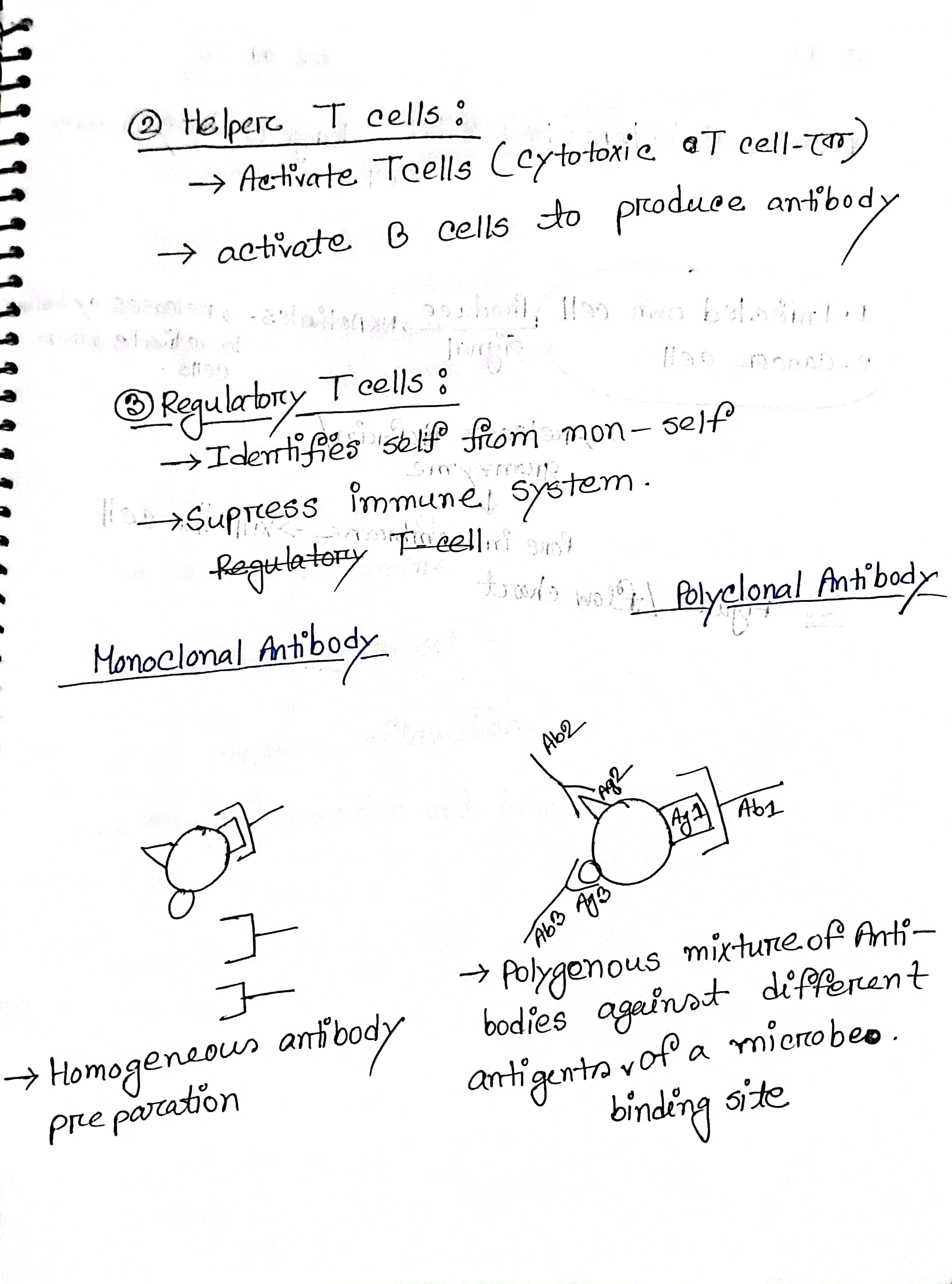 Hand Notes Page 5