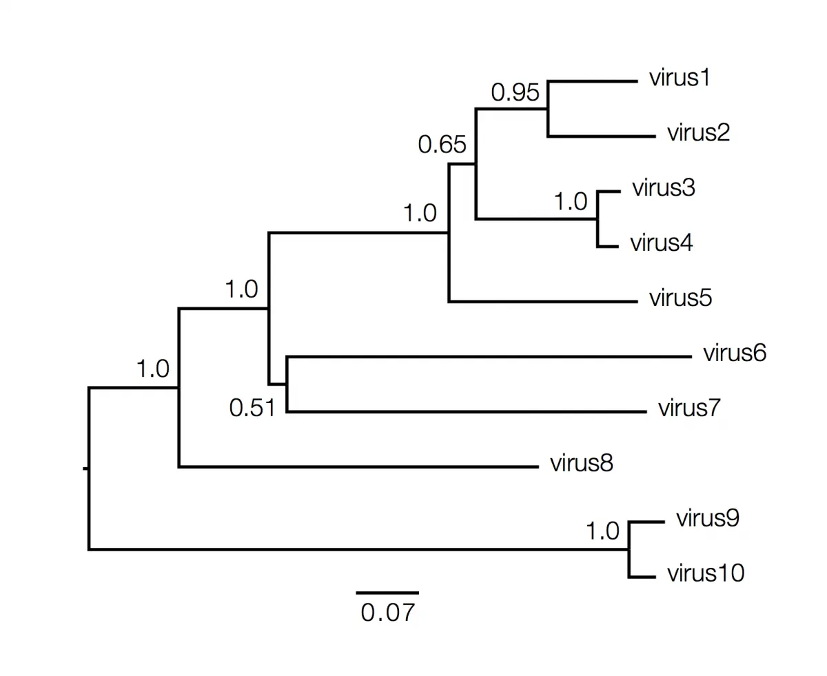 Phylogenetic Tree Construction