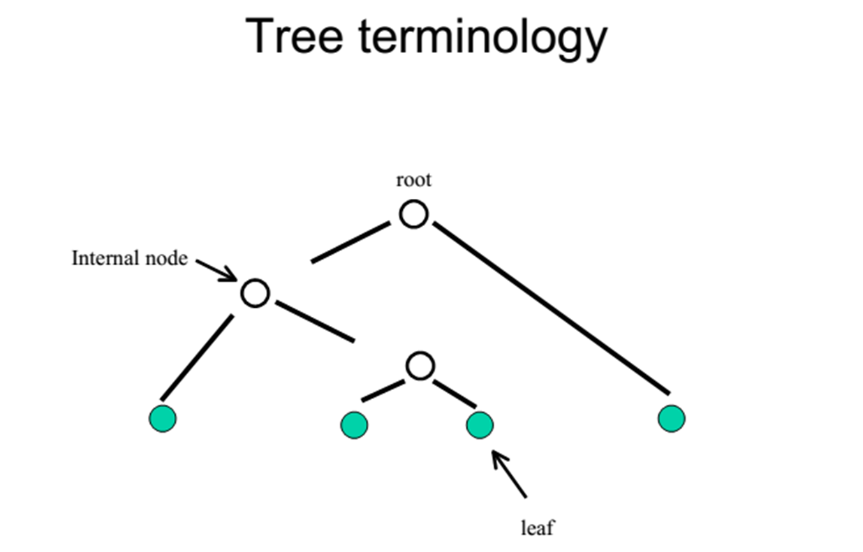 Phylogenetic Concept 1