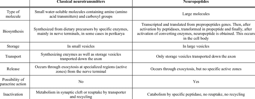 Synaptic Transmission