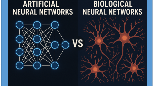 Neural Networks