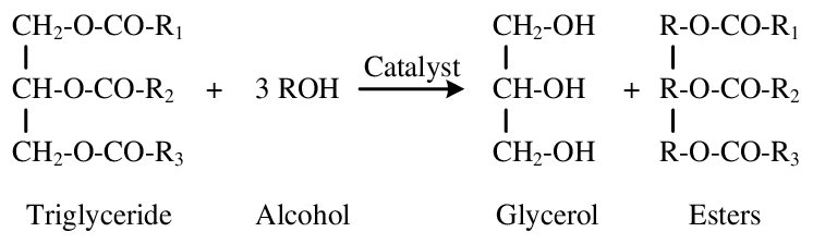 Lipid Structure 2