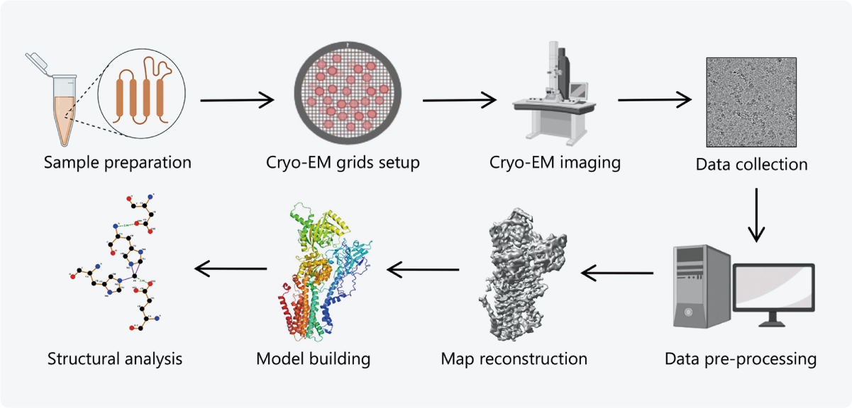Cryo-EM