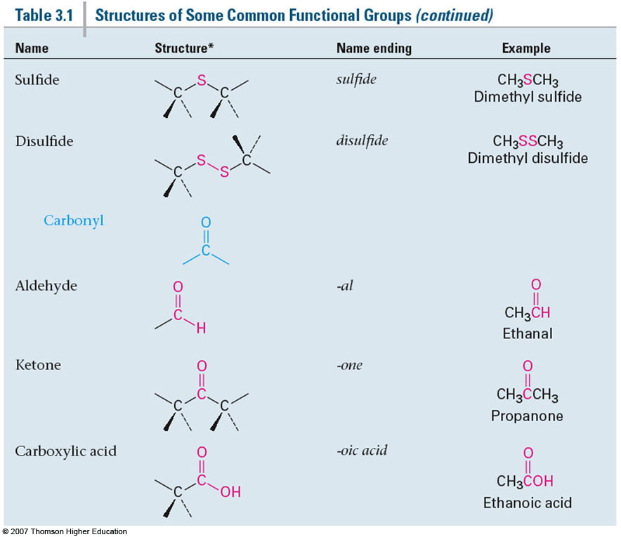 Biomolecule 3