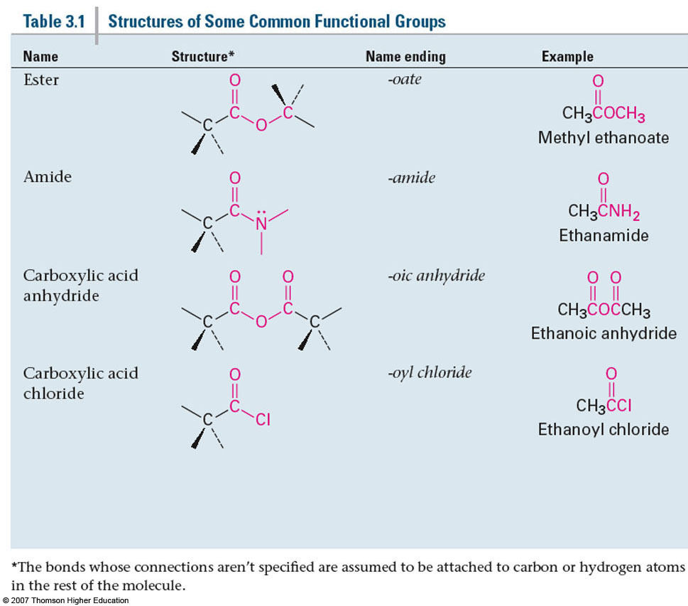 Biomolecule 4