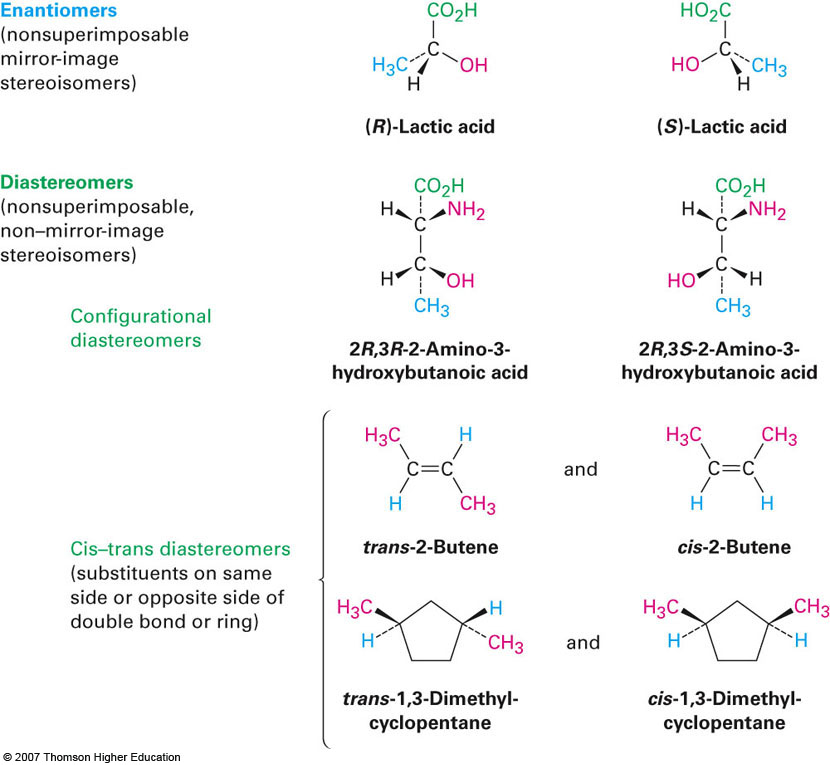 Biomolecule 6