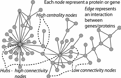 Network Concept